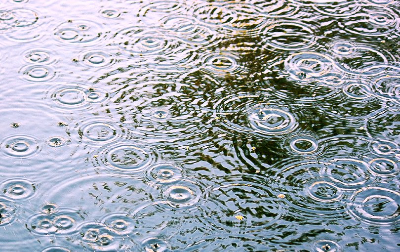 agua da chuva como resolver - Minha fossa está enchendo com a água da chuva: como resolver?