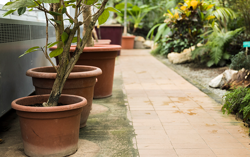 ralos no jardim - 3 erros comuns no desentupimentos de ralos no jardim